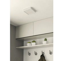 Plafondlamp in een hal met garderobe, opbergplank, haken en decoratieve planten.