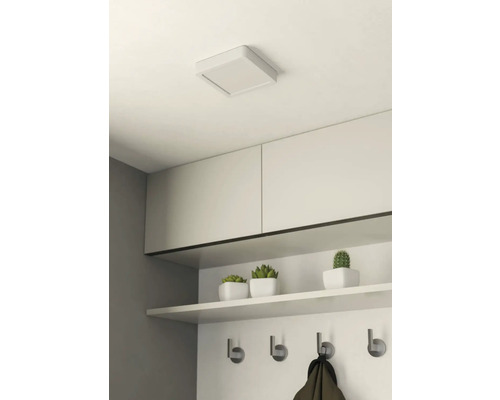 Plafondlamp in een hal met garderobe, opbergplank, haken en decoratieve planten.