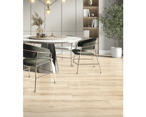 Eetkamer met eettafel, stoelen en houten vloertegels