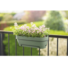 Bloembak met bloemen op het balkon
