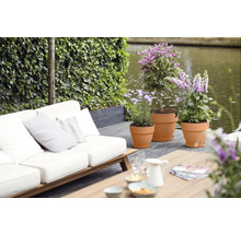 Terras met plantenbakken, bank en tafel in tuinontwerp
