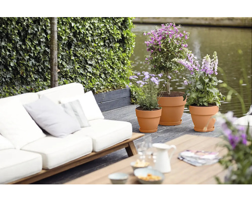 Scene met een bank, plantenbakken en planten buitenshuis