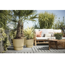 Terras met planten in bloempotten en een zithoek