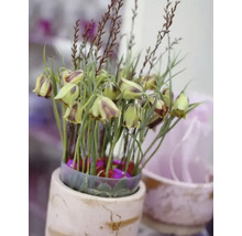 Decoratief bloemstuk in een pot