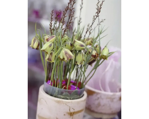 Decoratief bloemstuk in een pot