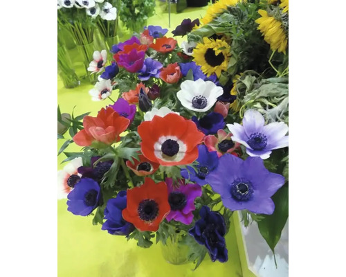 Boeket met anemonen en zonnebloemen