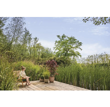 Houten terras met vrouw op stoel tussen planten en riet