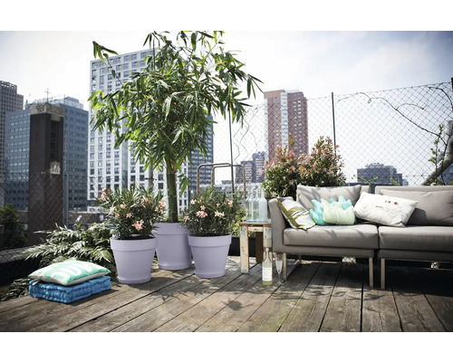 Dakterras met planten in potten, bank en uitzicht op de stad