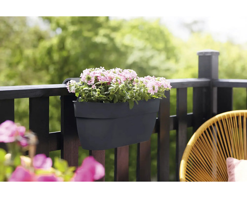 Balkonbak met bloemen aan de reling