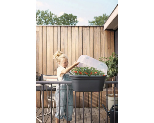 Meisje op een balkon met tomatenplanten in een plantenbak met kweekkas