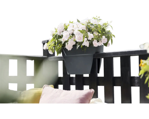 Bloempot met witte bloemen op een balkonreling