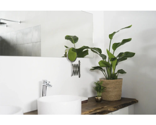 Lichte badkamer met spiegel, wastafel, kraan en kamerplanten