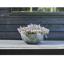 TS Plantenschaal Nova Kunststof grijs Ø 33 cm H 17 cm