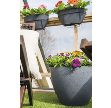 TS Balkonbak Nova Kunststof grijs Ø 52 cm H 17 cm