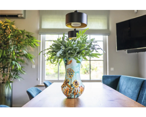 Eettafel met bloemenvaas en kamerplanten in een lichte kamer