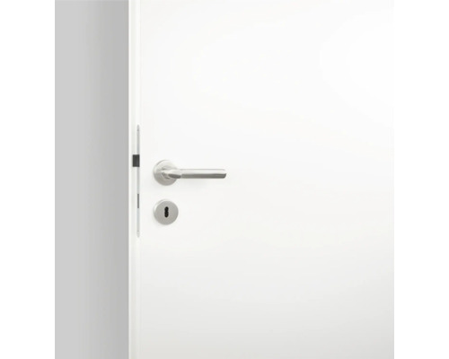 Witte binnendeur met roestvrijstalen deurkruk