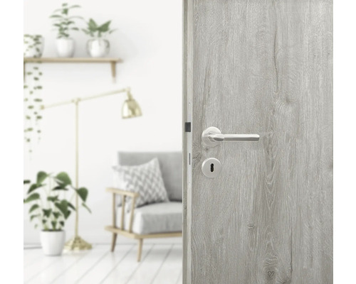 Decoratieve binnendeur met deurklink in een lichte kamer