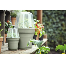 Twee plantenbakken met kappen op een houten oppervlak met planten op de achtergrond.