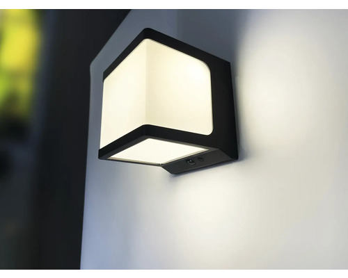 Lichtgevende, zwarte wandlamp