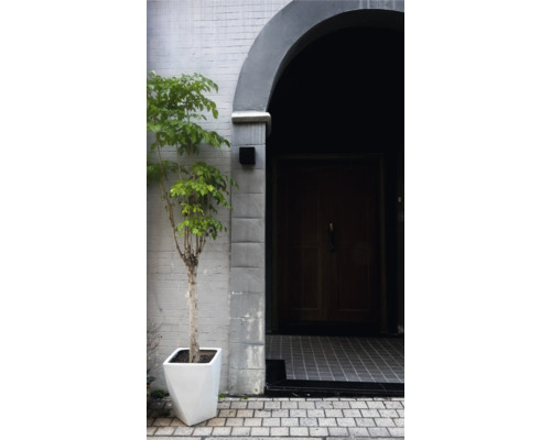 Entree met plant in moderne pot en massief houten deur