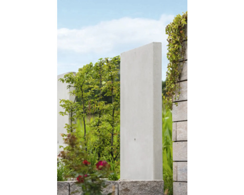 Betonnen privacyscherm met planten