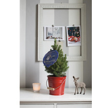 Kerstboom in rode emmer met decoratie op commode