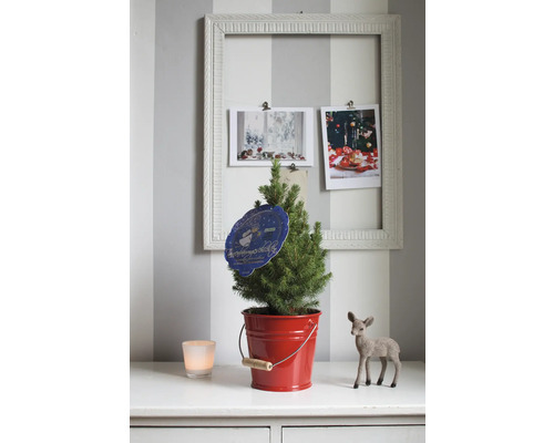 Kerstboom in rode emmer met decoratie op commode