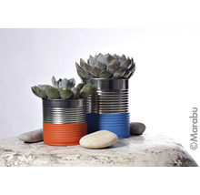 Decoratieve vetplanten in beschilderde blikken met stenen op een tafel