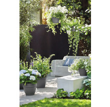 Tuinambiance met bloemen in potten, hangplanten en zitgelegenheid