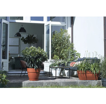 Terras met planten in potten en tuinmeubelen voor openstaande deuren