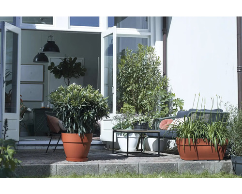 Terras met planten in potten en tuinmeubelen voor openstaande deuren