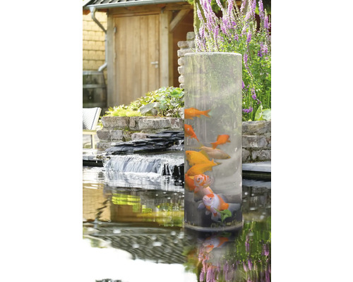 Heldere cilindervormige aquarium met goudvissen in de tuinvijver