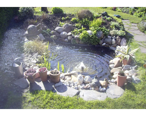 Vijver in de tuin met stenen, planten en fontein