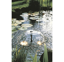 Tuin vijver met waterlelies en fontein