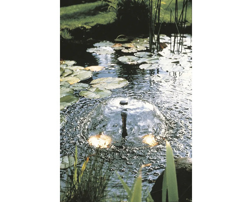 Vijver met waterspel, waterlelies en oeverbeplanting voor een natuurlijke tuin.