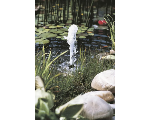 Tuinvijver met fontein, planten en stenen