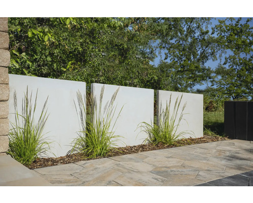 Scene met betonnen tuinafscheiding, siergrassen en bestrating