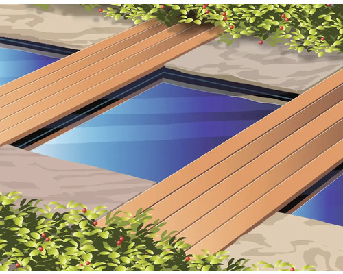 Illustratie van een tuinvijver met houten terras en planten