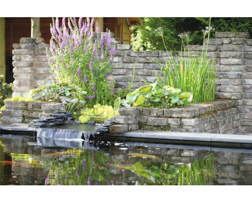 Vijver met waterval en bakstenen en diverse planten