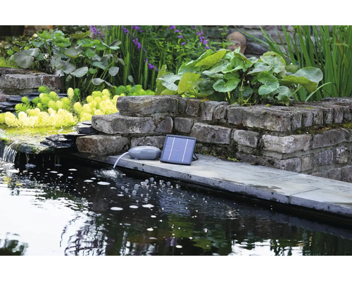 Vijvergezicht met een solarpomp voor waterbeluchting.