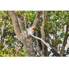 Accu snoeizaag bij het snoeien van een tak