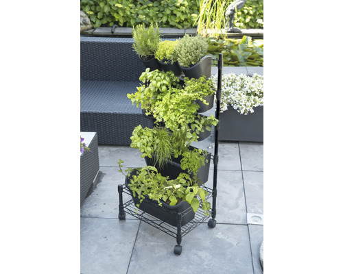 Plantenstandaard met kruiden op terras met tuinmeubelen