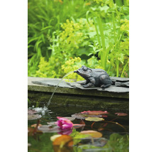 Decoratieve kikkerfiguur als waterspuwer voor de tuinvijver