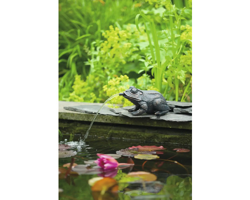 Decoratieve kikkerfiguur als waterspuwer voor de tuinvijver