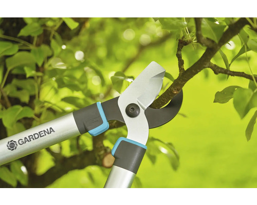 Tuinschaar knipt een tak