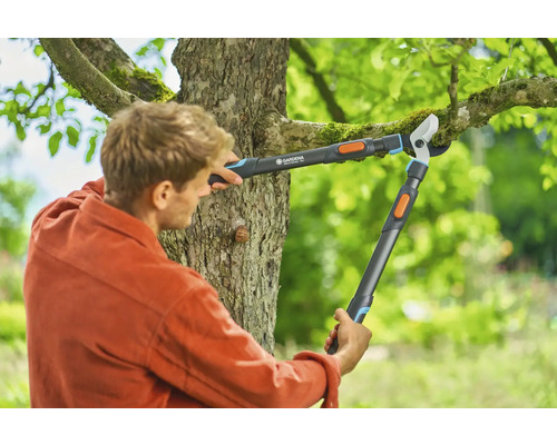 Man snoeit boomtakken met een tuinschaar.