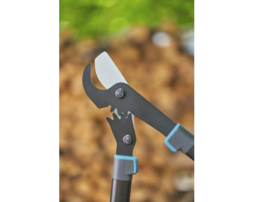 Takkenzaag voor het snoeien van bomen