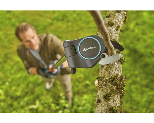 Man snoeit tak met een Gardena takkenschaar