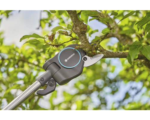 Tuinschaar met steel voor het snoeien van takken in een boom