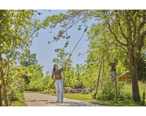 Vrouw gebruikt een takkenschaar met telescopische steel in de tuin om takken te snoeien